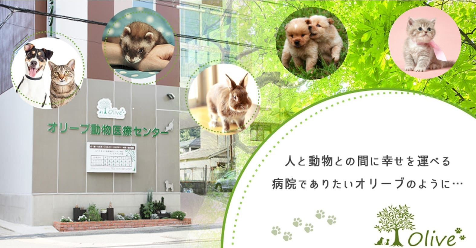 オリーブ動物医療センター 京都府京都市山科区の動物病院