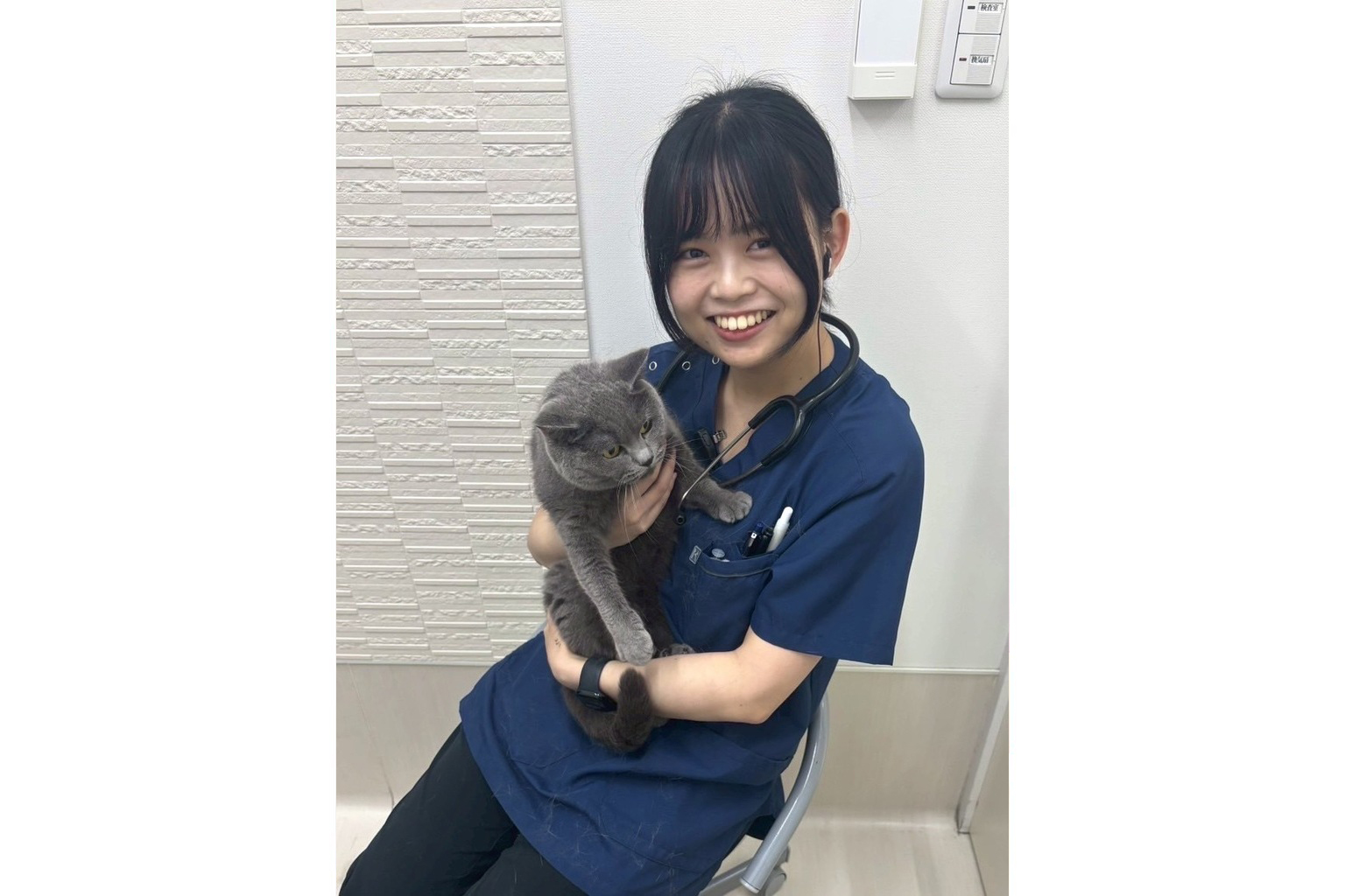 獣医師 山下 桃代